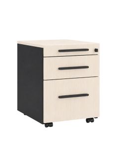 Nowy Styl SQart 2D PB MIX Rollcontainer