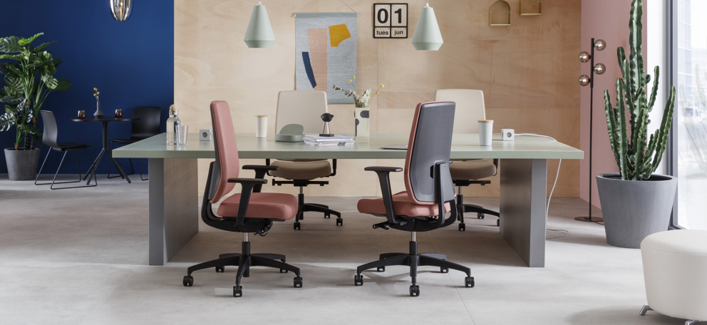 Dauphin Indeed online kaufen